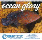 Ocean Glory - Spiral Bound 7017